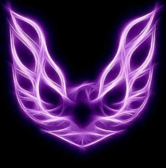 firebird1995